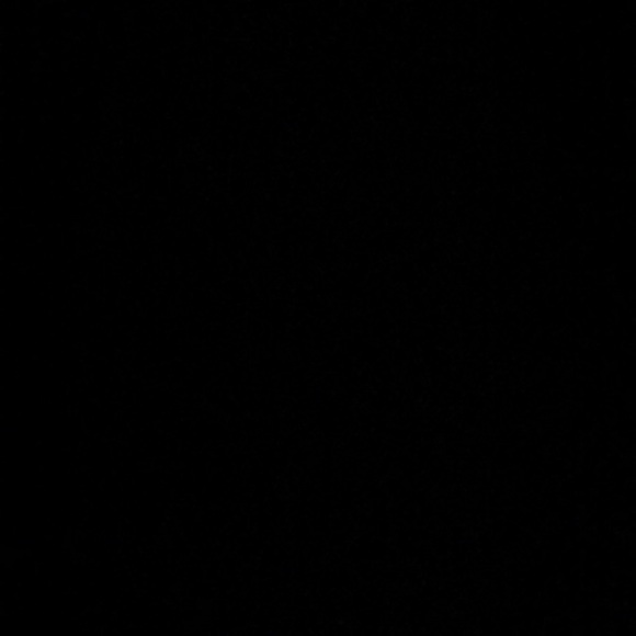 Meet your Posher, Braden - Picture 1 of 1